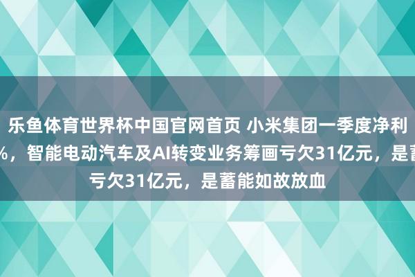 乐鱼体育世界杯中国官网首页 小米集团一季度净利润同比降43%，智能电动汽车及AI转变业务筹画亏欠31亿元，是蓄能如故放血