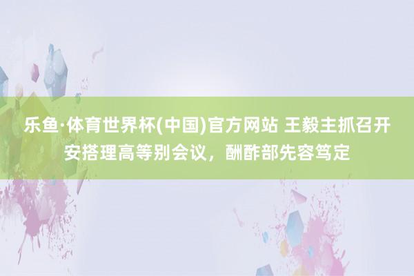 乐鱼·体育世界杯(中国)官方网站 王毅主抓召开安搭理高等别会议，酬酢部先容笃定