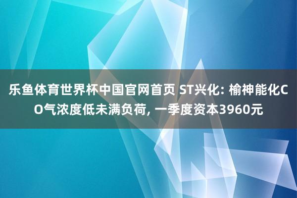 乐鱼体育世界杯中国官网首页 ST兴化: 榆神能化CO气浓度低未满负荷, 一季度资本3960元