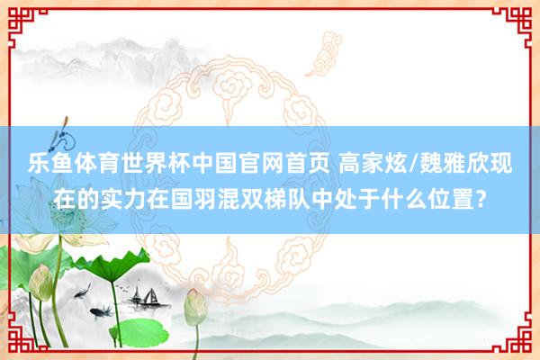 乐鱼体育世界杯中国官网首页 高家炫/魏雅欣现在的实力在国羽混双梯队中处于什么位置？