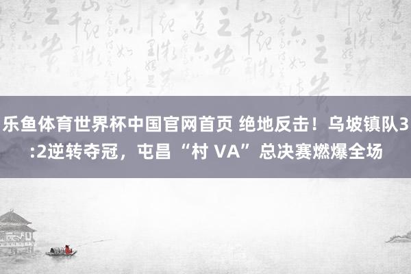 乐鱼体育世界杯中国官网首页 绝地反击！乌坡镇队3:2逆转夺冠，屯昌 “村 VA” 总决赛燃爆全场