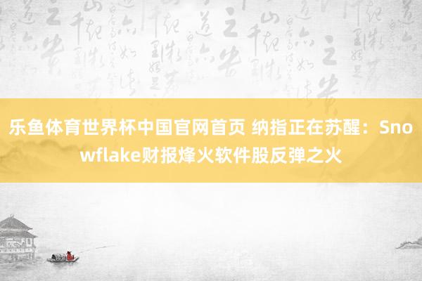 乐鱼体育世界杯中国官网首页 纳指正在苏醒：Snowflake财报烽火软件股反弹之火