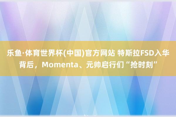 乐鱼·体育世界杯(中国)官方网站 特斯拉FSD入华背后，Momenta、元帅启行们“抢时刻”