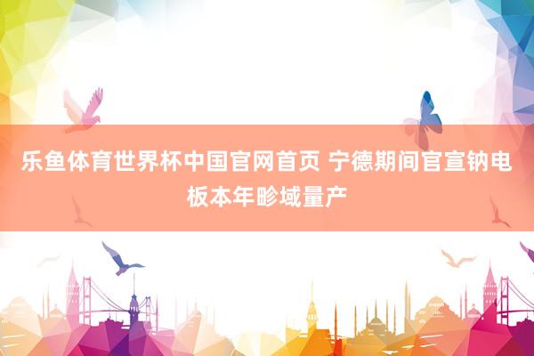 乐鱼体育世界杯中国官网首页 宁德期间官宣钠电板本年畛域量产