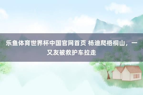 乐鱼体育世界杯中国官网首页 杨迪爬梧桐山，一又友被救护车拉走