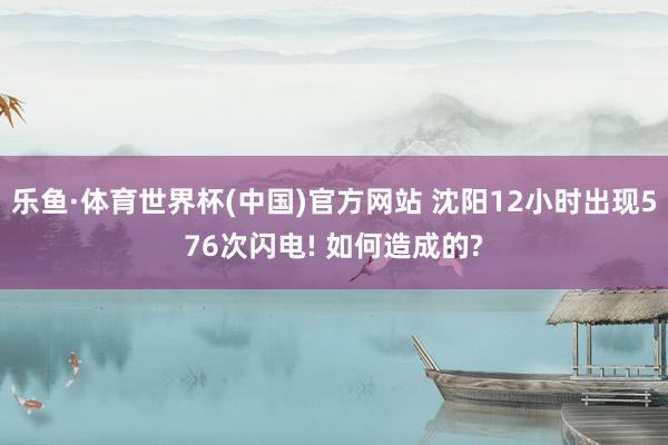 乐鱼·体育世界杯(中国)官方网站 沈阳12小时出现576次闪电! 如何造成的?