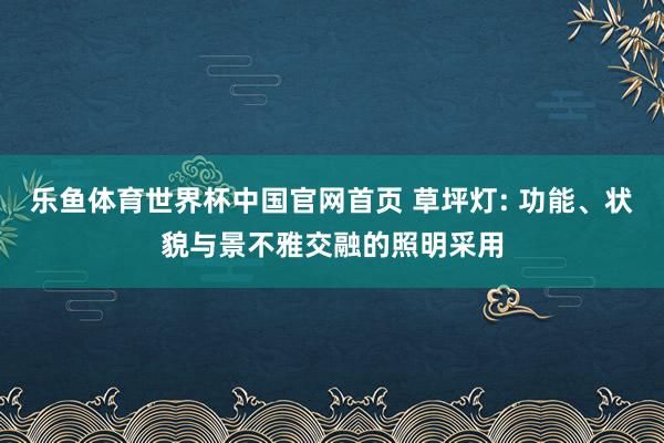 乐鱼体育世界杯中国官网首页 草坪灯: 功能、状貌与景不雅交融的照明采用