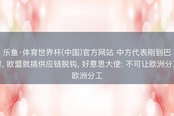 乐鱼·体育世界杯(中国)官方网站 中方代表刚到巴黎， 欧盟就搞供应链脱钩， 好意思大使: 不可让欧洲分工
