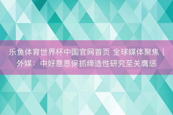 乐鱼体育世界杯中国官网首页 全球媒体聚焦｜外媒：中好意思保抓缔造性研究至关膺惩