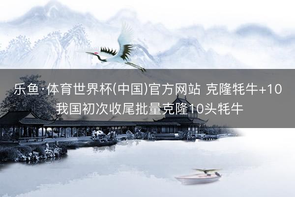 乐鱼·体育世界杯(中国)官方网站 克隆牦牛+10 我国初次收尾批量克隆10头牦牛