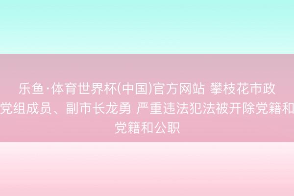 乐鱼·体育世界杯(中国)官方网站 攀枝花市政府原党组成员、副市长龙勇 严重违法犯法被开除党籍和公职