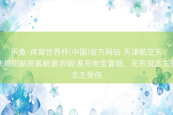 乐鱼·体育世界杯(中国)官方网站 天津航空天津飞揭阳航班客舱冒浓烟!系充电宝冒烟,无东说念主受伤