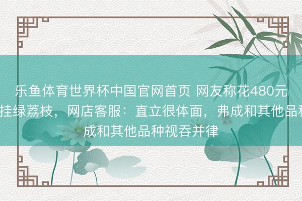 乐鱼体育世界杯中国官网首页 网友称花480元买6颗增城挂绿荔枝，网店客服：直立很体面，弗成和其他品种视吞并律