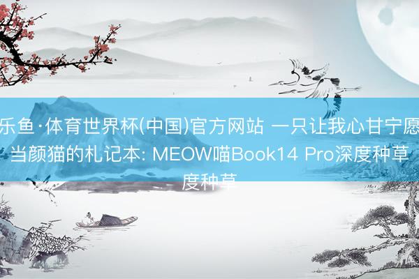 乐鱼·体育世界杯(中国)官方网站 一只让我心甘宁愿当颜猫的札记本: MEOW喵Book14 Pro深度种草