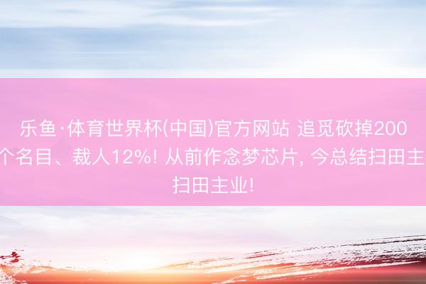 乐鱼·体育世界杯(中国)官方网站 追觅砍掉200多个名目、裁人12%! 从前作念梦芯片， 今总结扫田主业!